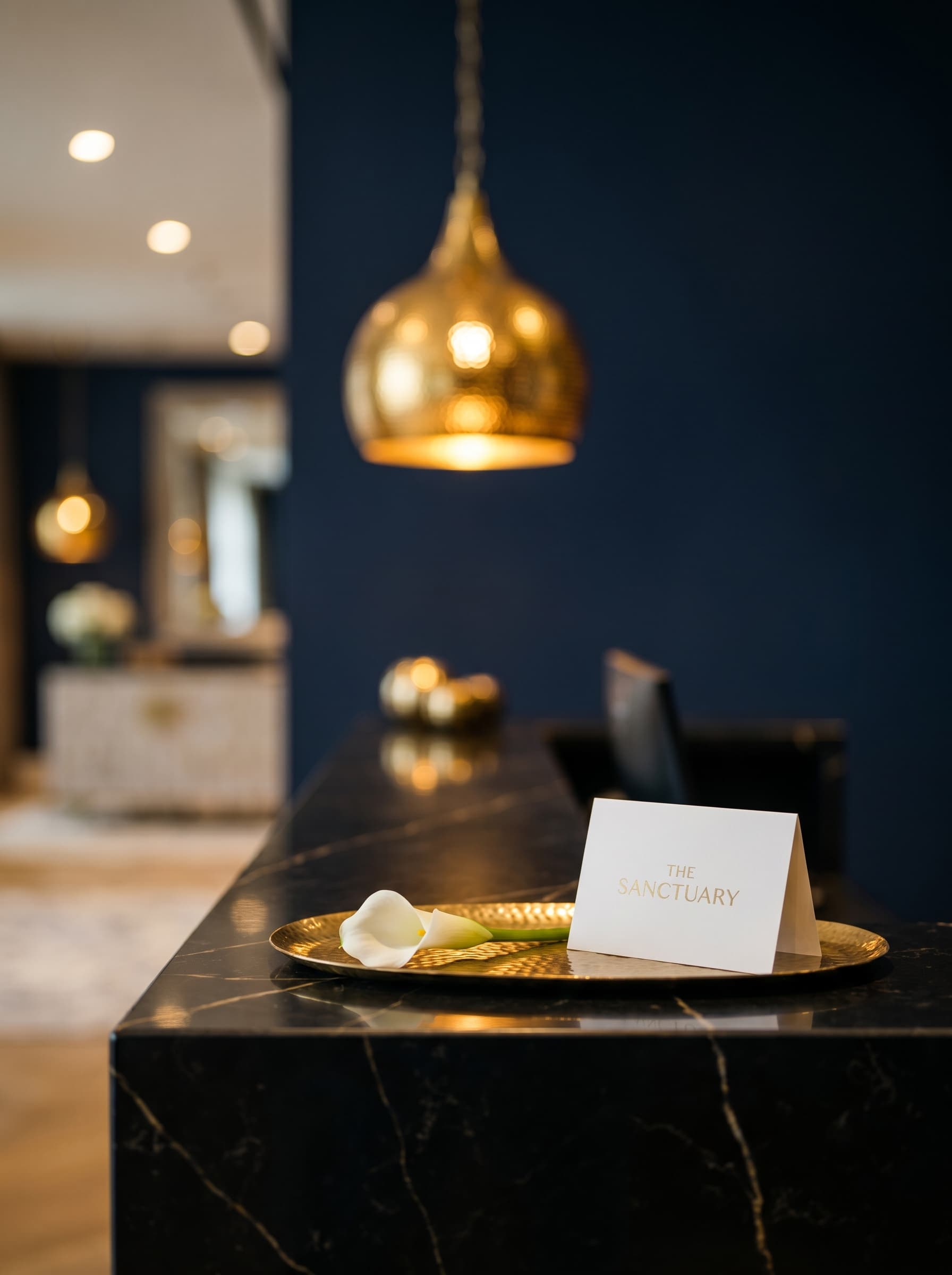 La recepción — AETHER